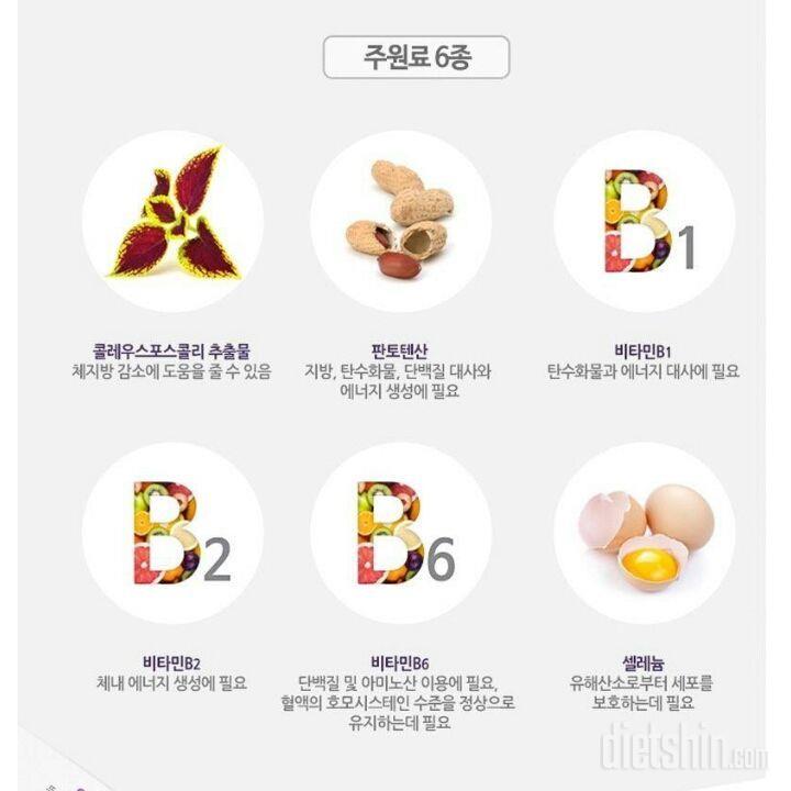 노뇽이의 체험후기2 💡첫번째섭취