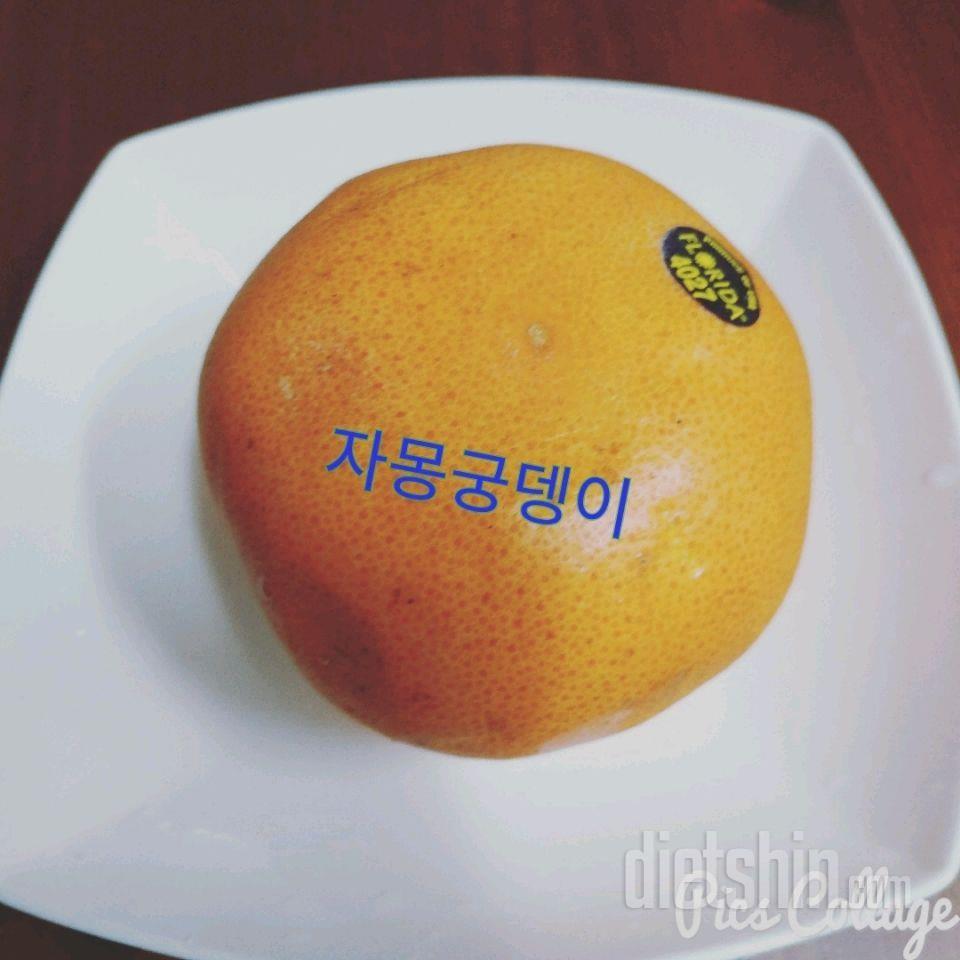 주말식단