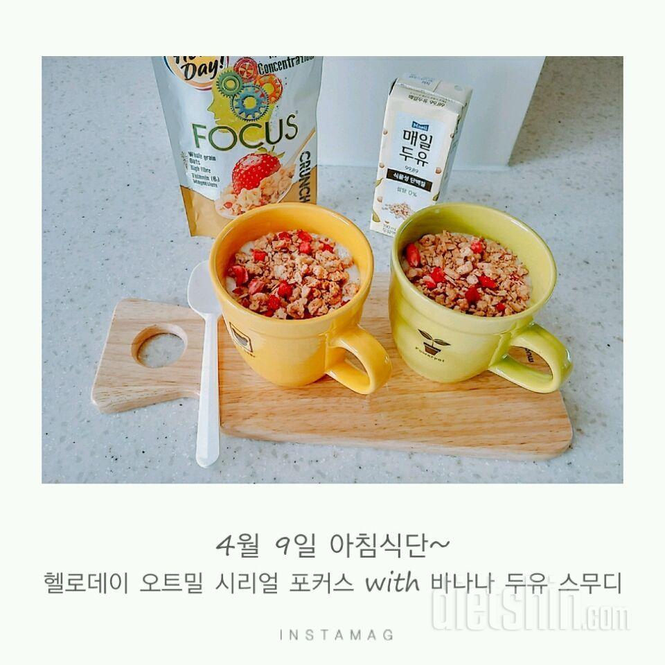 🌠헬로데이 오트밀&매일두유 후기 3