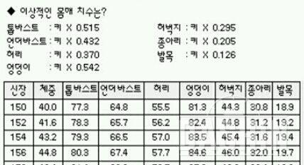 신체치수..몸무게보다는 치수에!