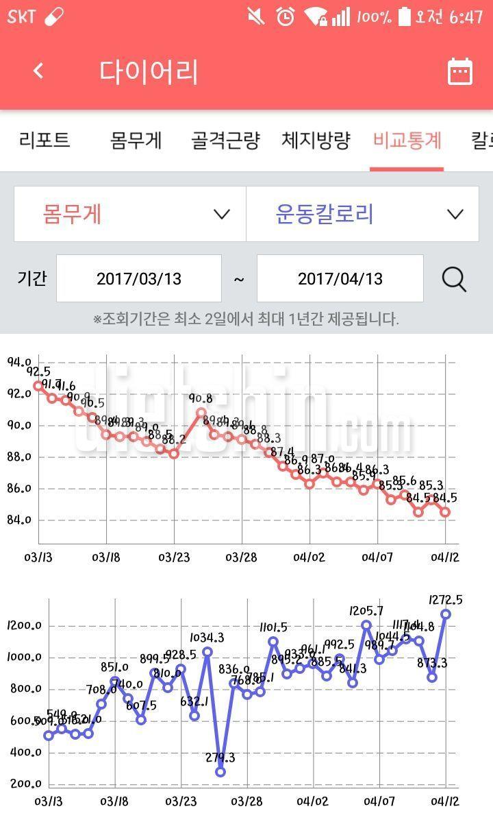 플랭크&다이어트 8키로 감량 후기