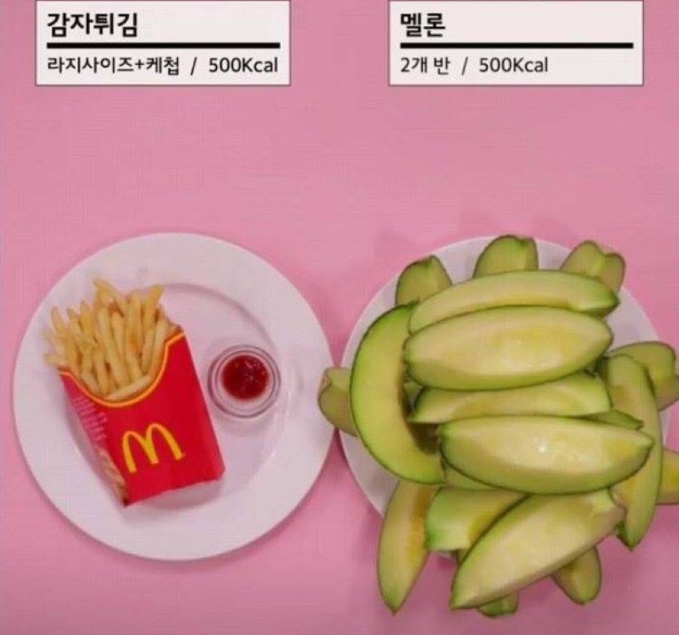 음식칼로리