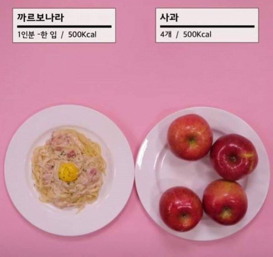 음식칼로리