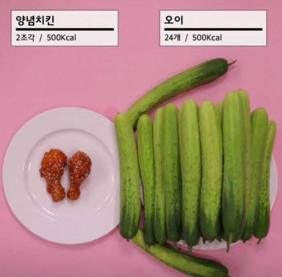 음식칼로리