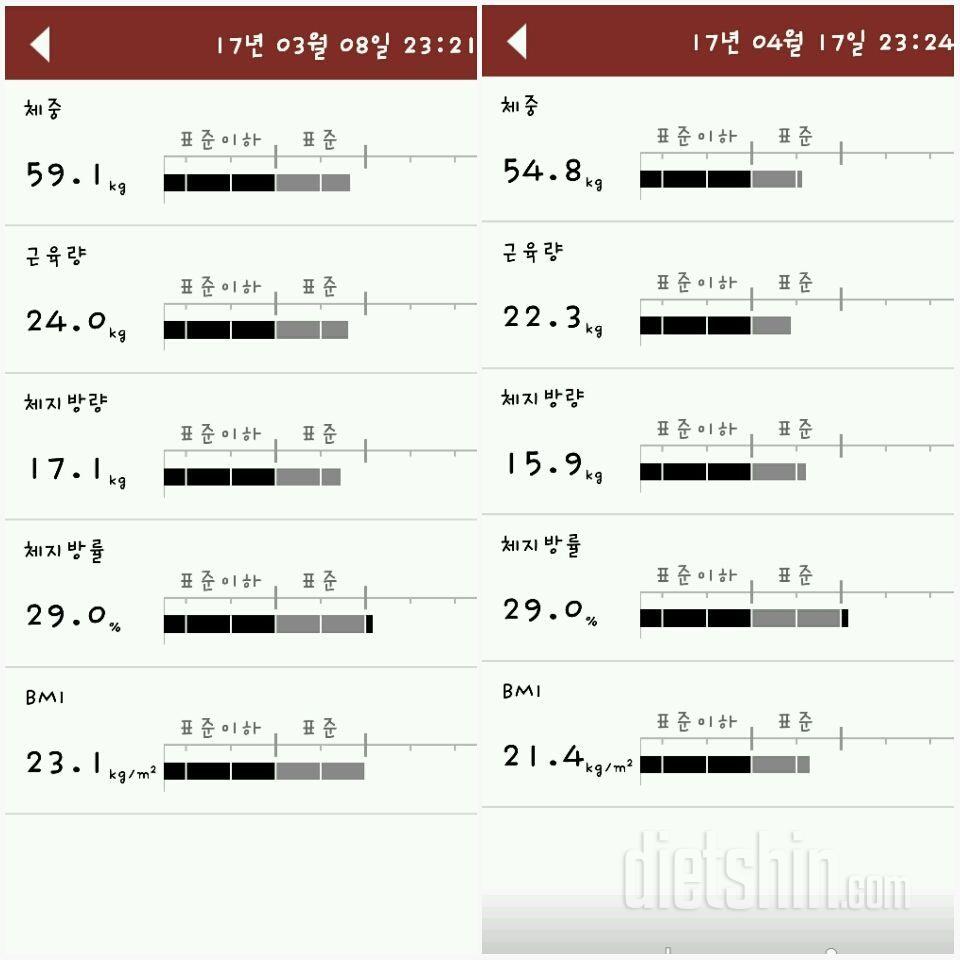 7주차 인바디 체지방률 정체