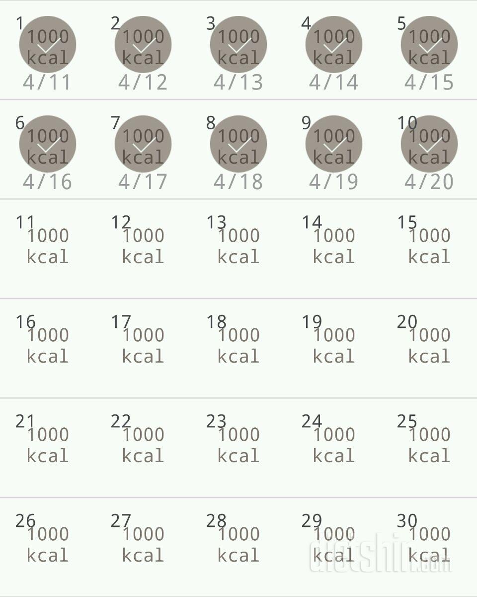 30일 1,000kcal 식단 10일차 성공!