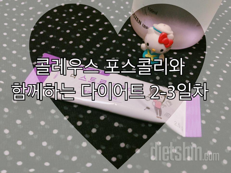 [♡콜레우스 포스콜리 우수체험단 3일차 후기♡]