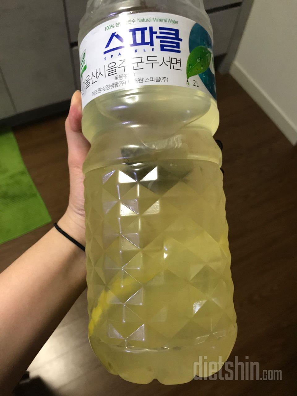 루나 극성수기 다이어트 - 레몬 물!