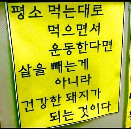 자극 글귀!😂