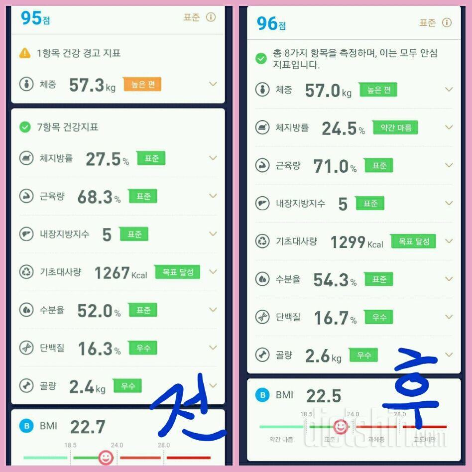 활동 전 후 체성분 비교 기록 (0508)