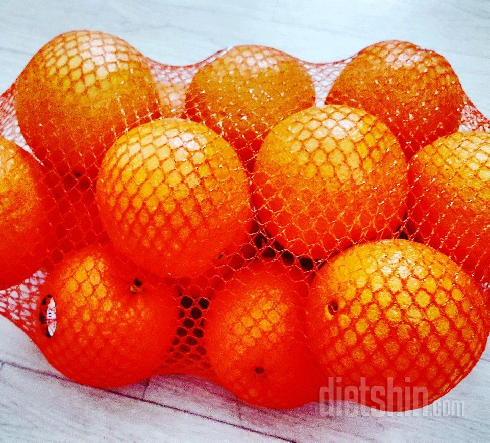 오렌지~간식거리~오렌지🍊