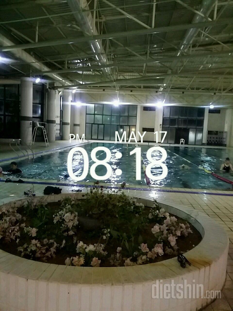 2017.05.17 수영