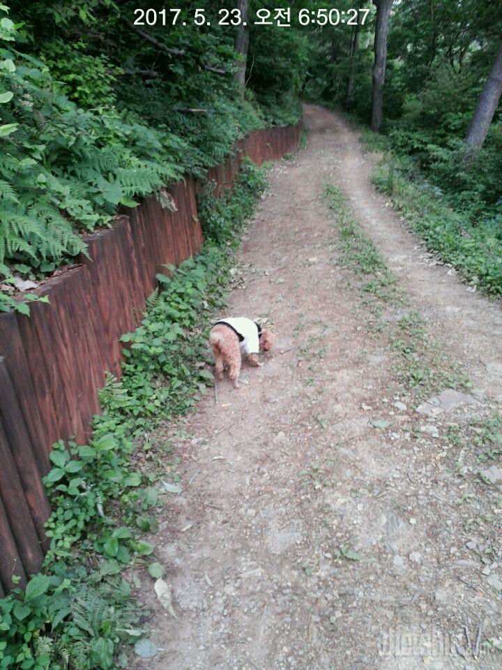 아침등산