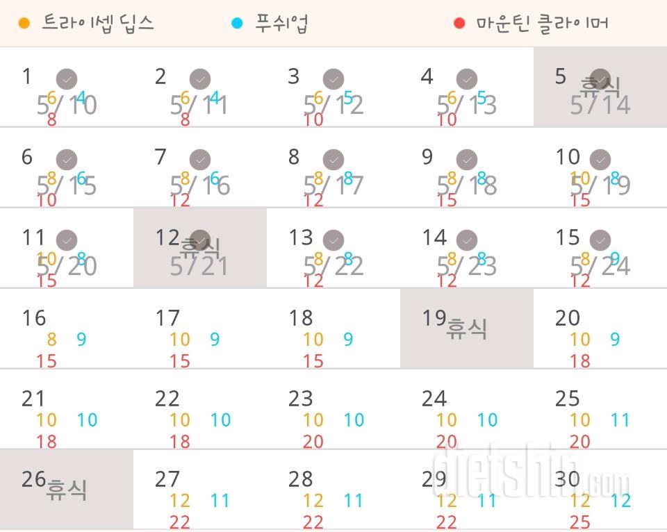 30일 슬림한 팔 15일차 성공!