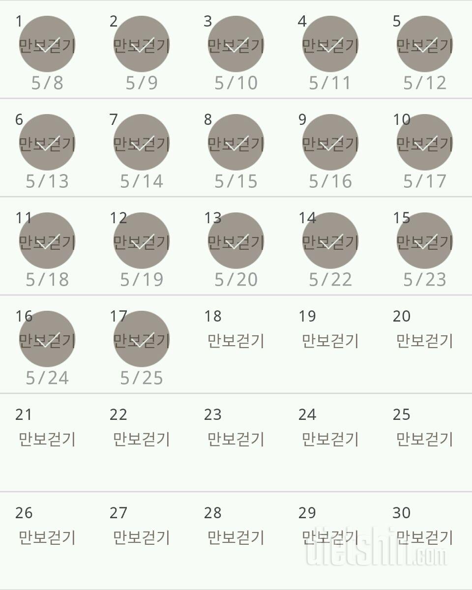 30일 만보 걷기 17일차 성공!