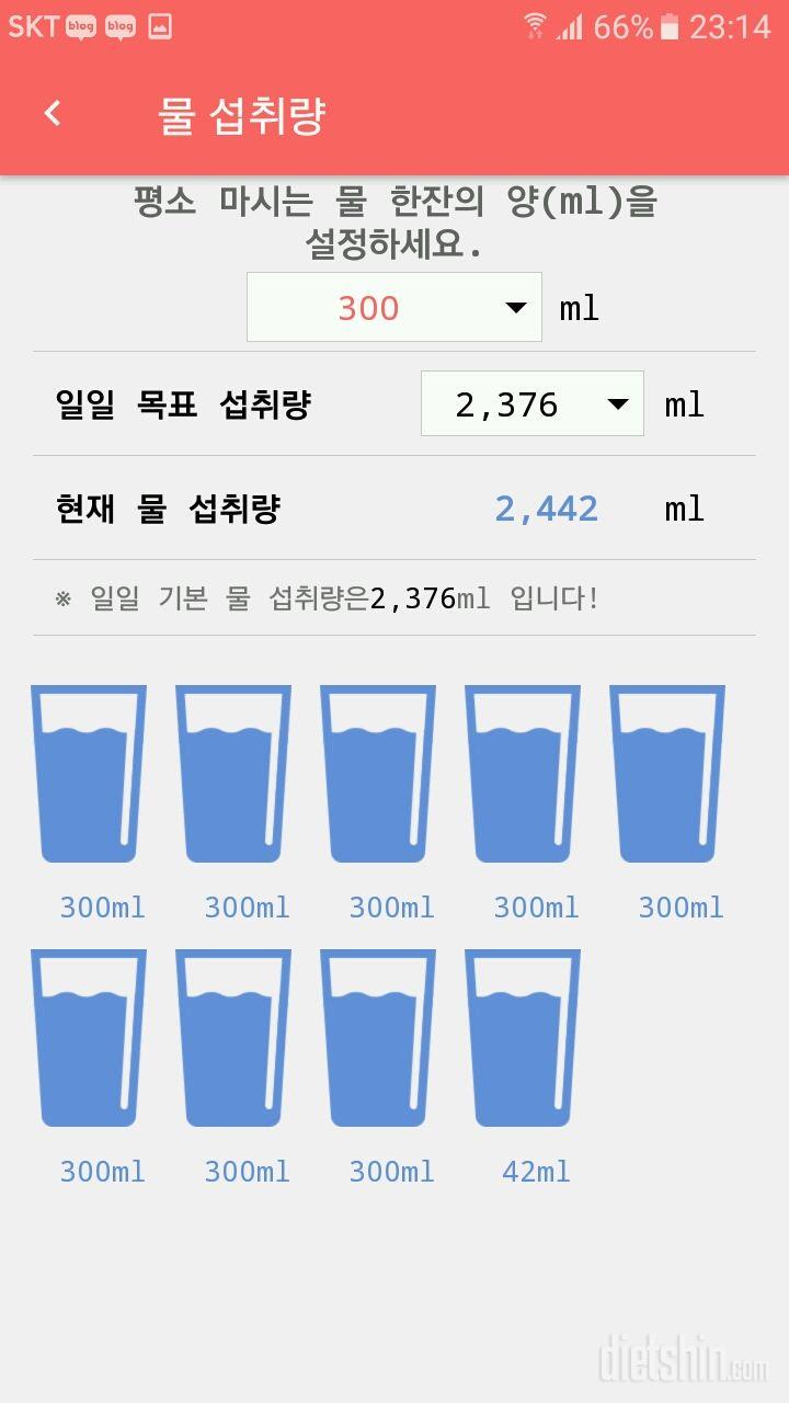 30일 하루 2L 물마시기 13일차 성공!