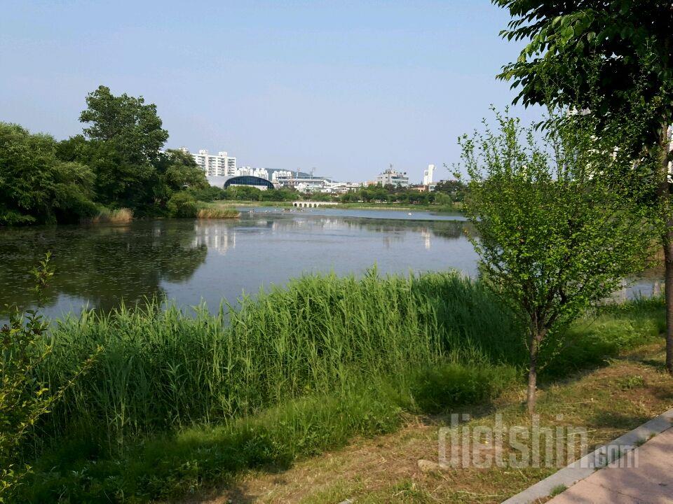 수원 만석공원 산책중이에요ㅎ