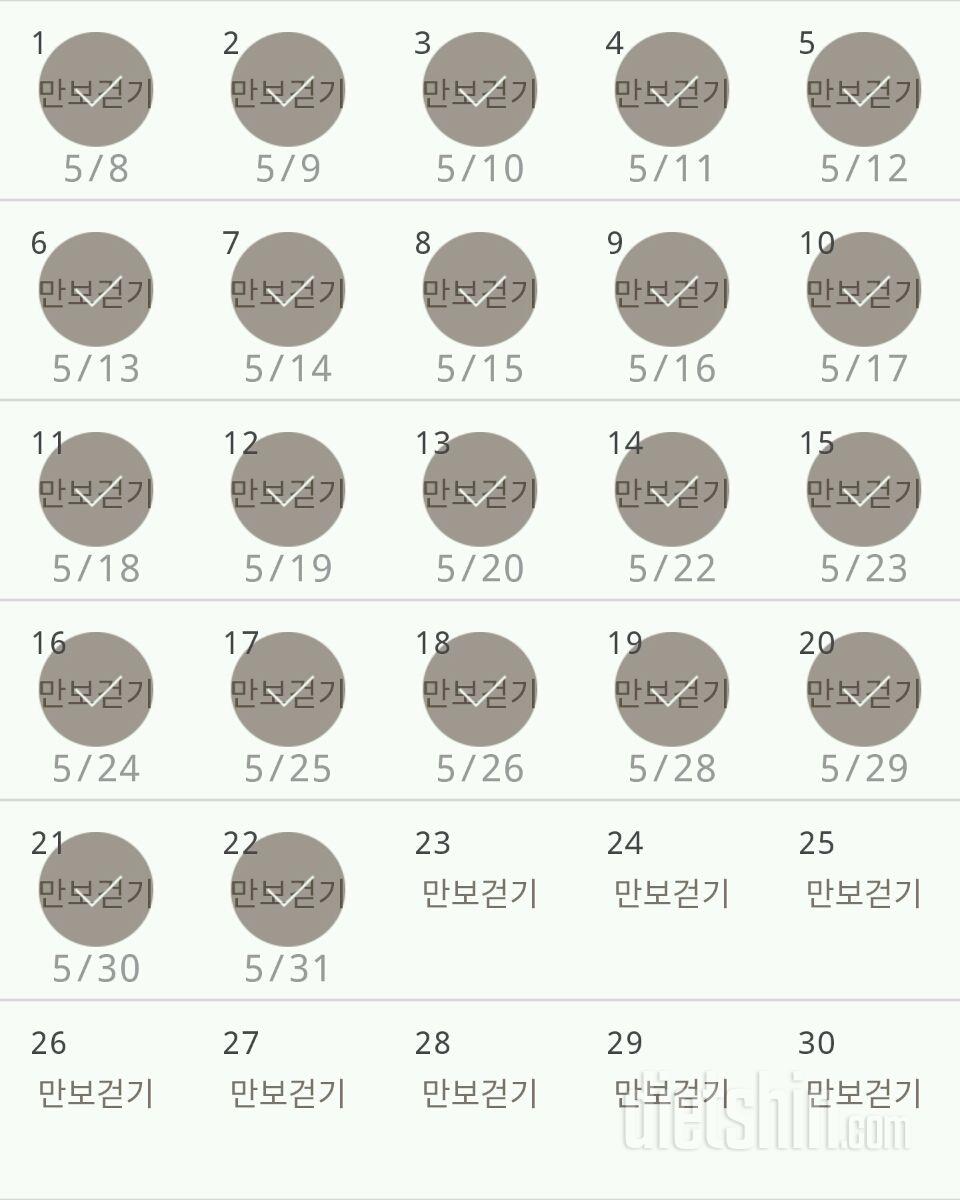 30일 만보 걷기 22일차 성공!