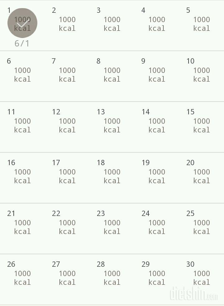 30일 1,000kcal 식단 31일차 성공!