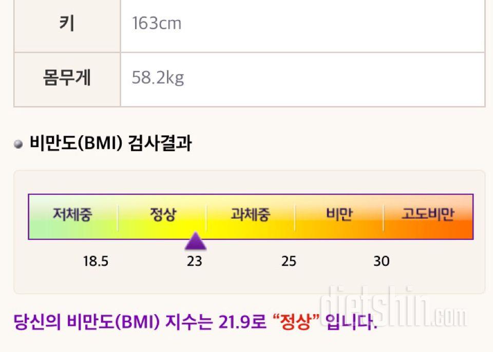 허리 직립근! 복근! 만들기에 도전합니다