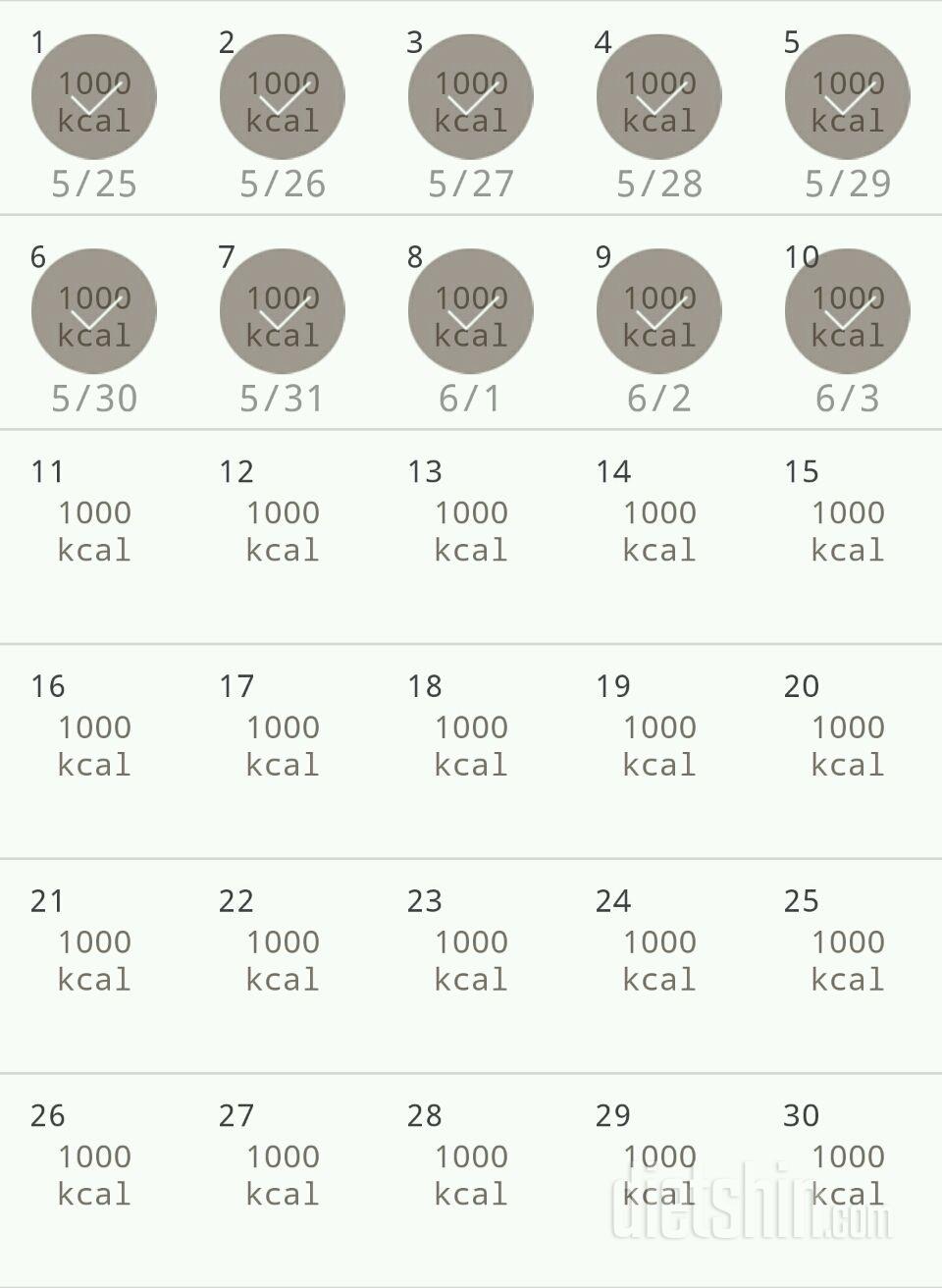 30일 1,000kcal 식단 10일차 성공!