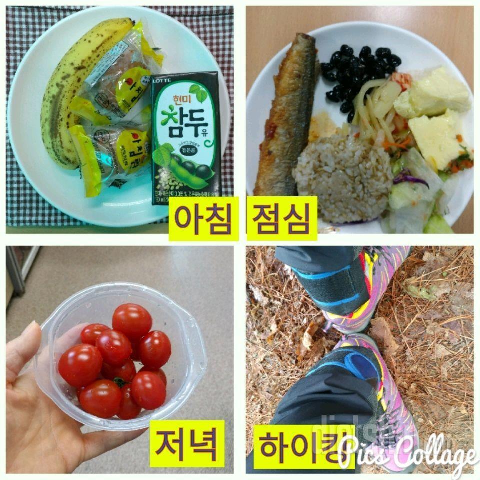 여름 위해 ㅡ식단이 도시락이 필요합니다