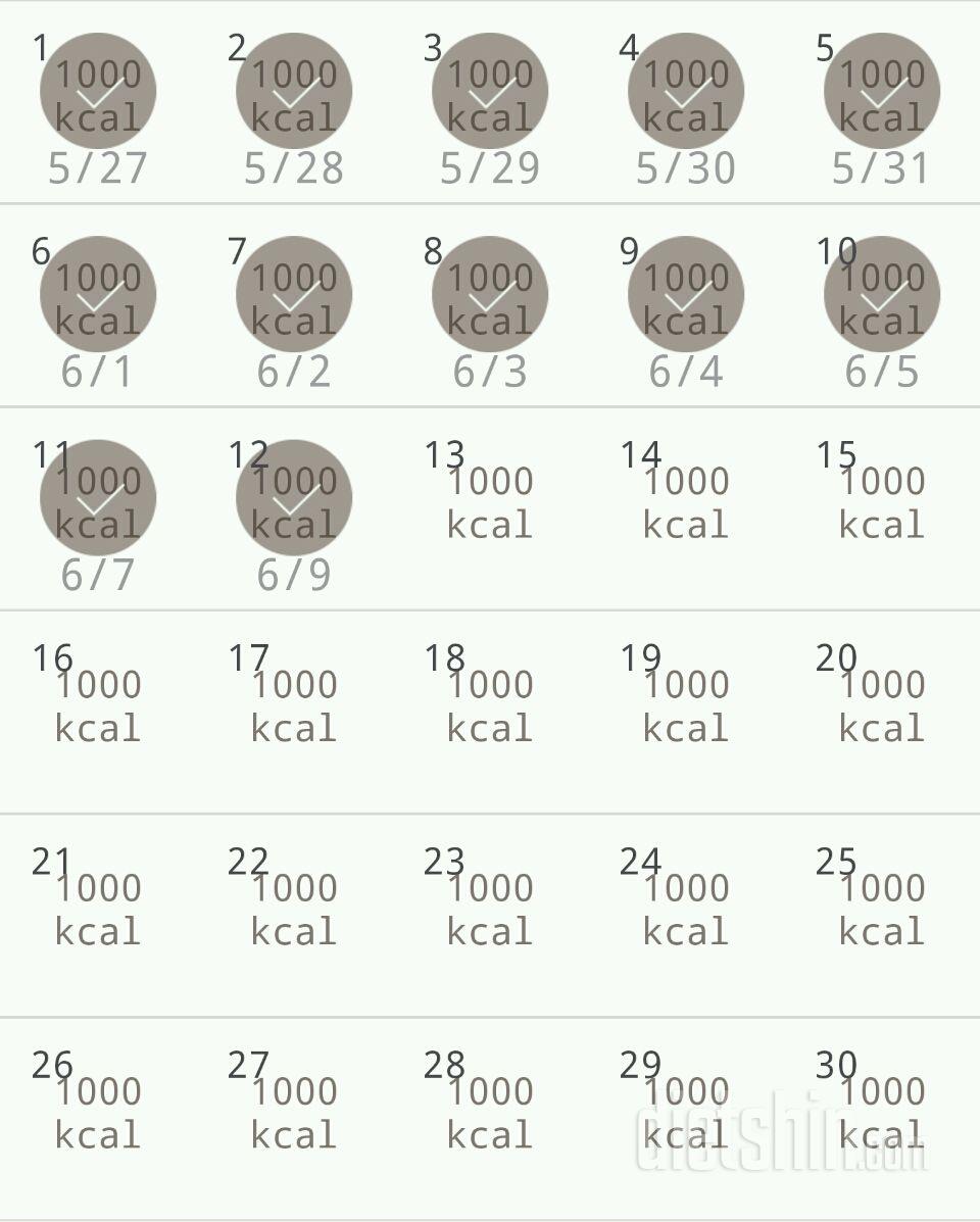 30일 1,000kcal 식단 12일차 성공!