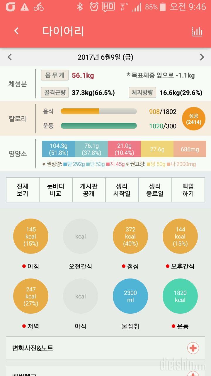 저녁식단 도전 6일 성공