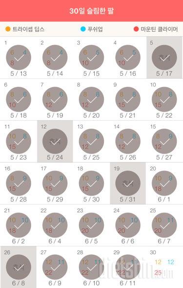 30일 슬림한 팔 29일차 성공!