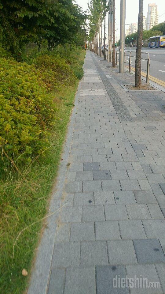 [다신8기 일일미션 월요일 완료]