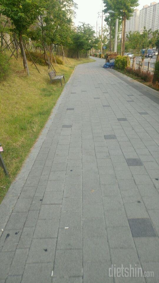 [다신8기 일일미션 월요일 완료]