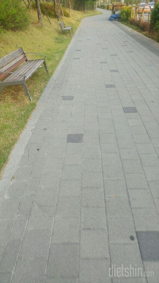 [다신8기 일일미션 월요일 완료]