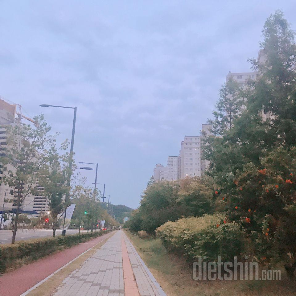 [다신8기일일미션 6.12(월)일 완료]