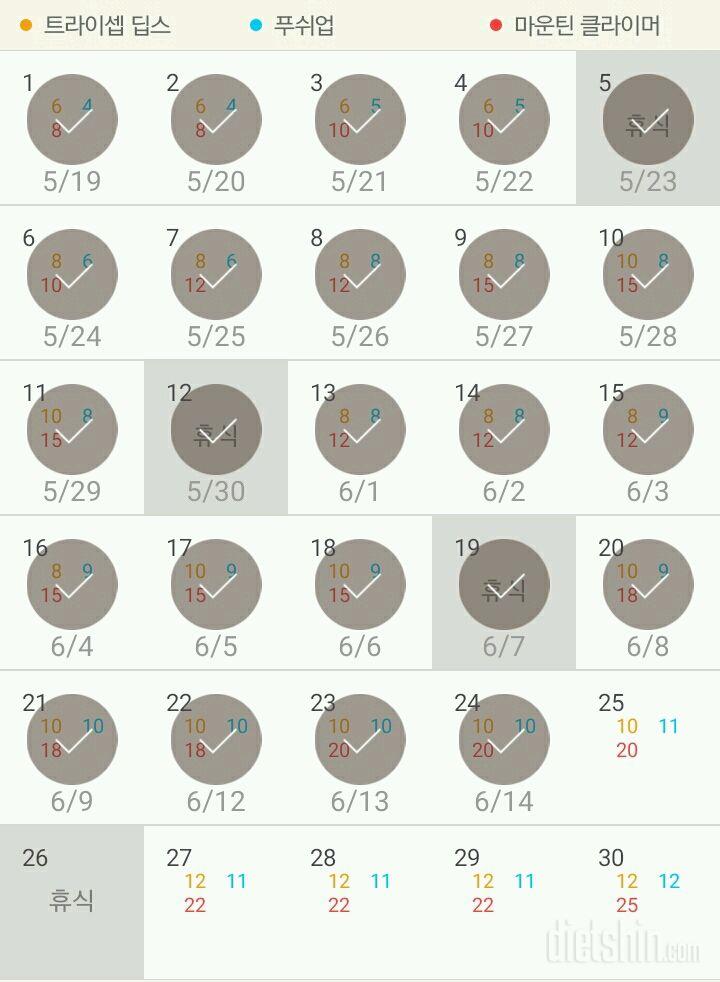 30일 슬림한 팔 114일차 성공!