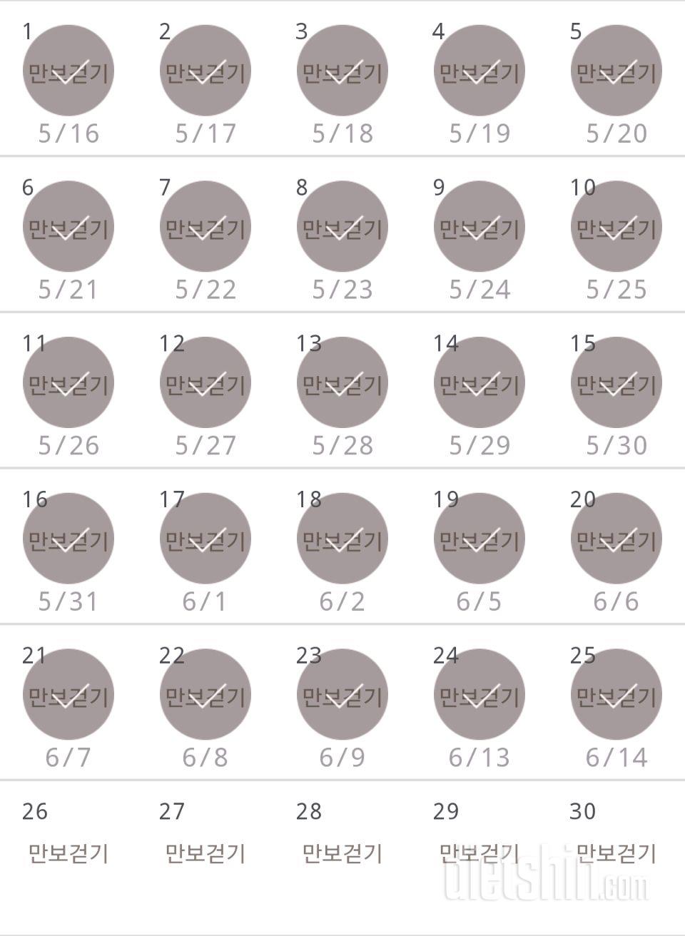 30일 만보 걷기 25일차 성공!