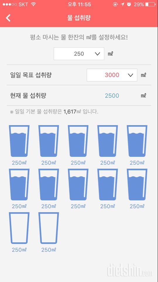 30일 하루 2L 물마시기 13일차 성공!