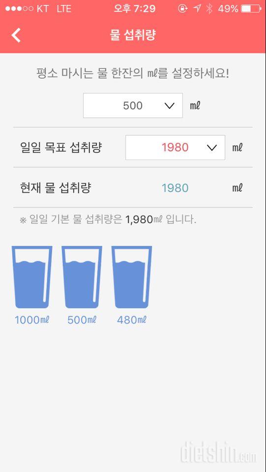 30일 하루 2L 물마시기 10일차 성공!