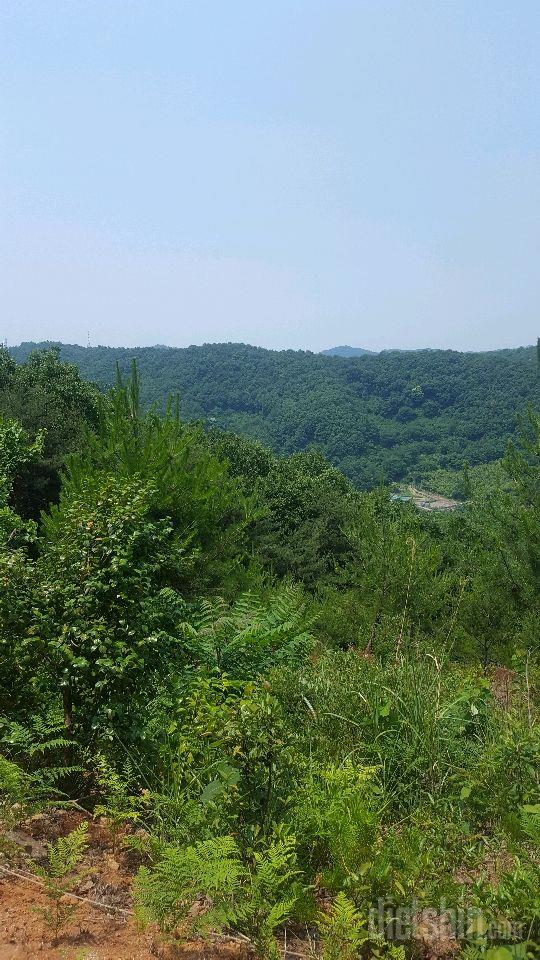 6.17..저 산에왔어요..