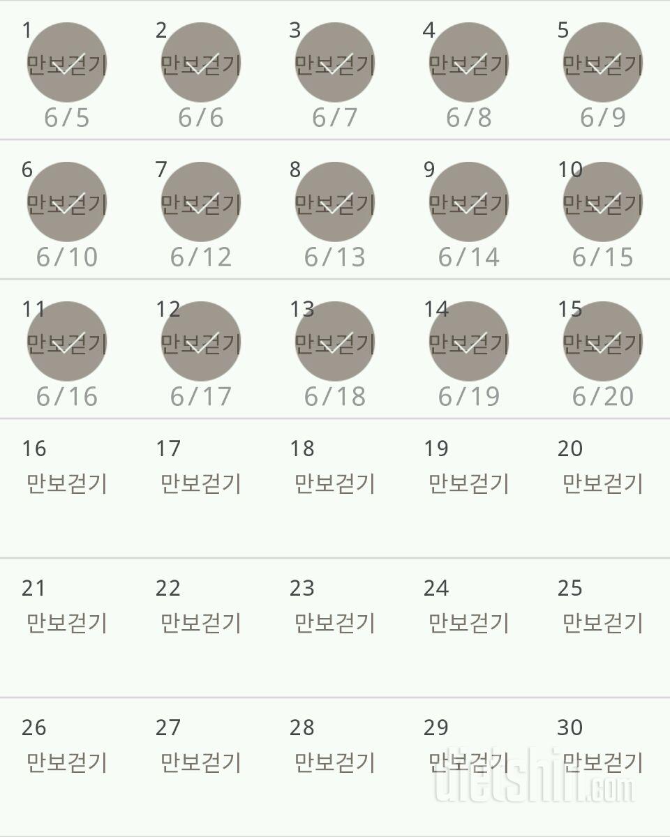 30일 만보 걷기 15일차 성공!