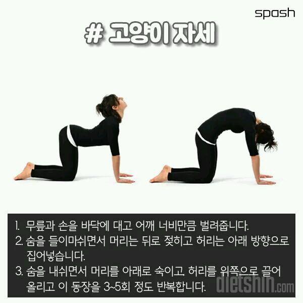 배고플땐 이동작을 해요