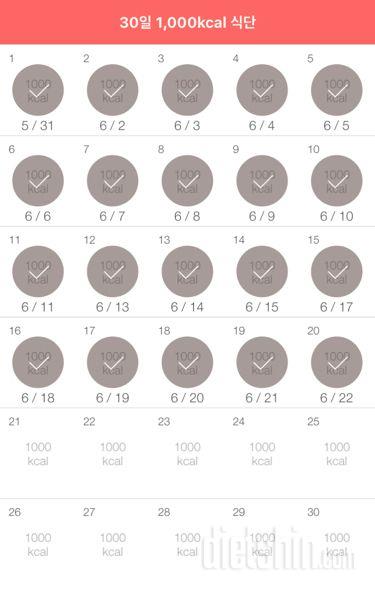 30일 1,000kcal 식단 20일차 성공!