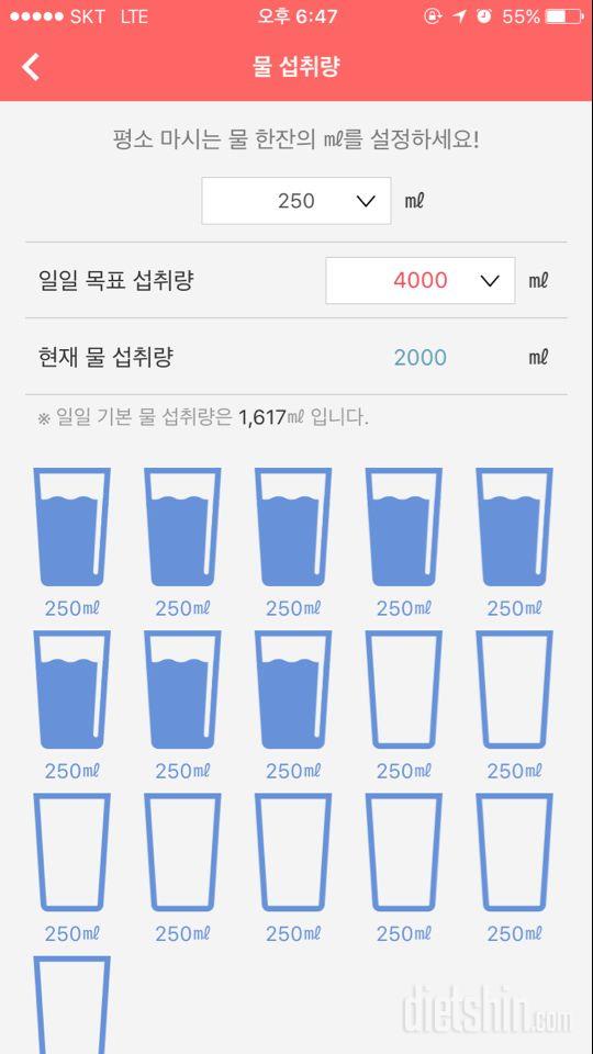 30일 하루 2L 물마시기 19일차 성공!