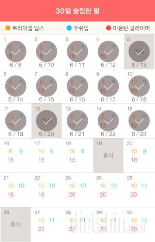 30일 슬림한 팔 15일차 성공!