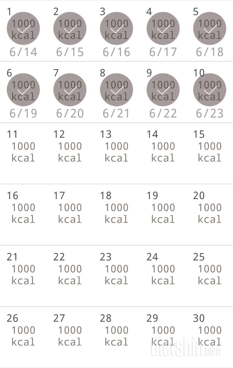 30일 1,000kcal 식단 10일차 성공!