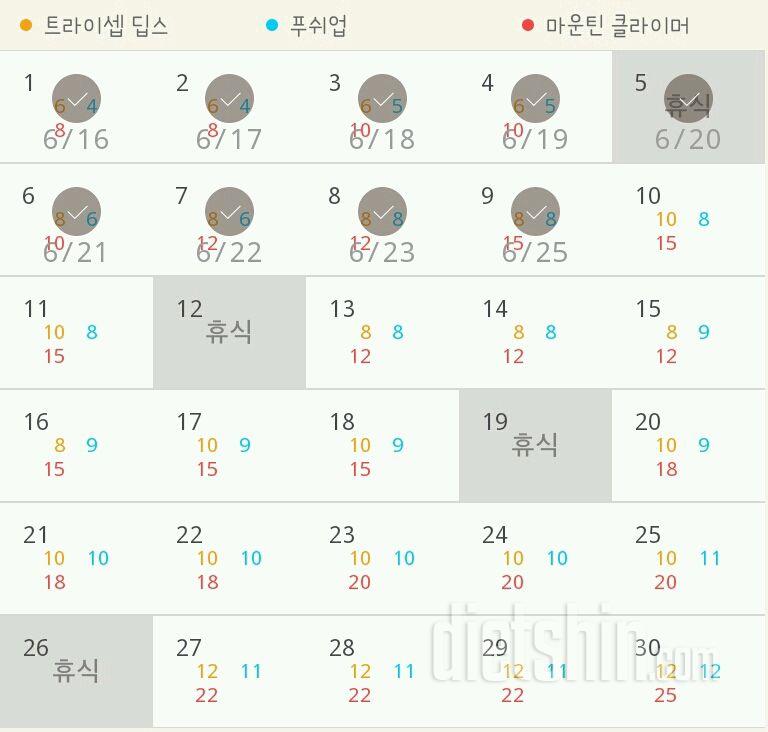 30일 슬림한 팔 9일차 성공!