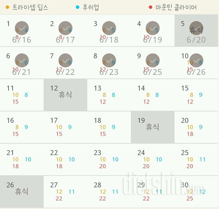 30일 슬림한 팔 10일차 성공!