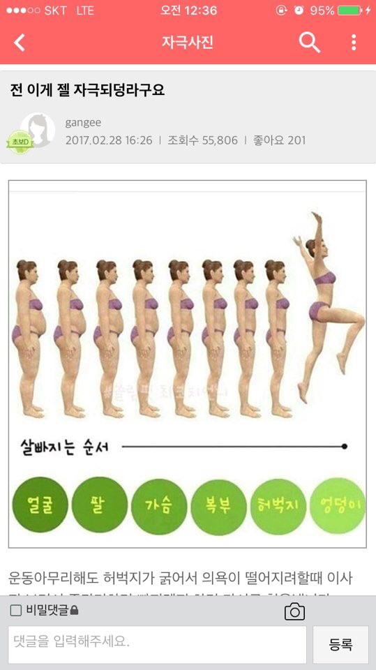 자극사진