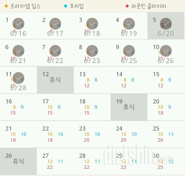 30일 슬림한 팔 11일차 성공!