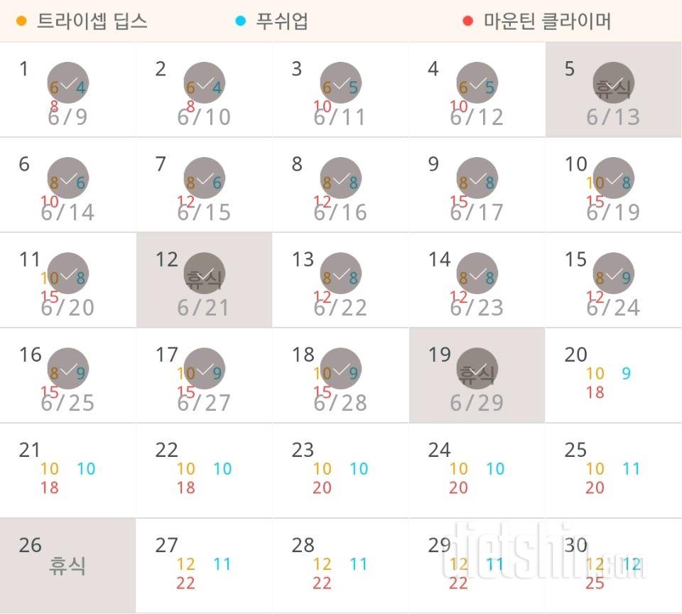 30일 슬림한 팔 19일차 성공!