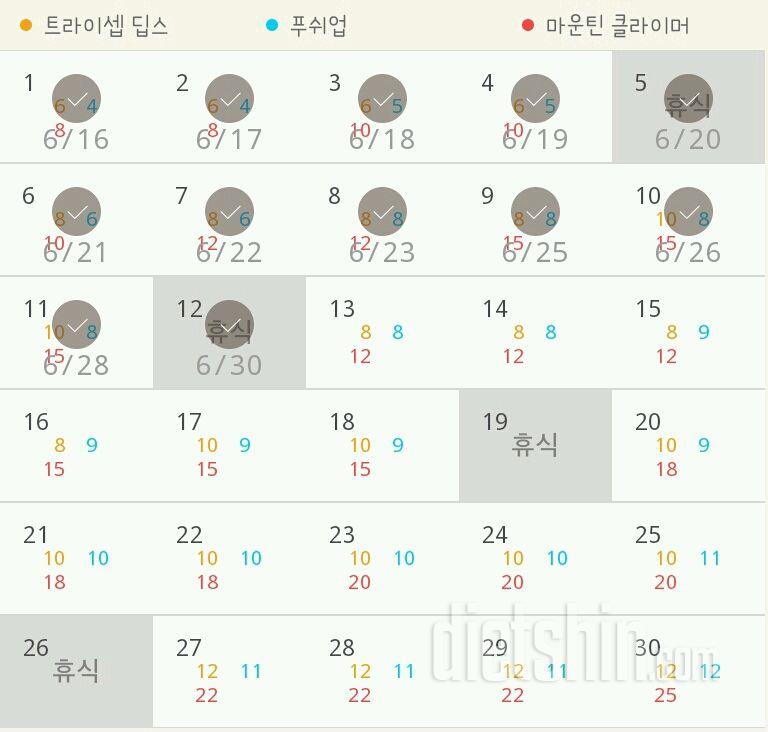 30일 슬림한 팔 12일차 성공!